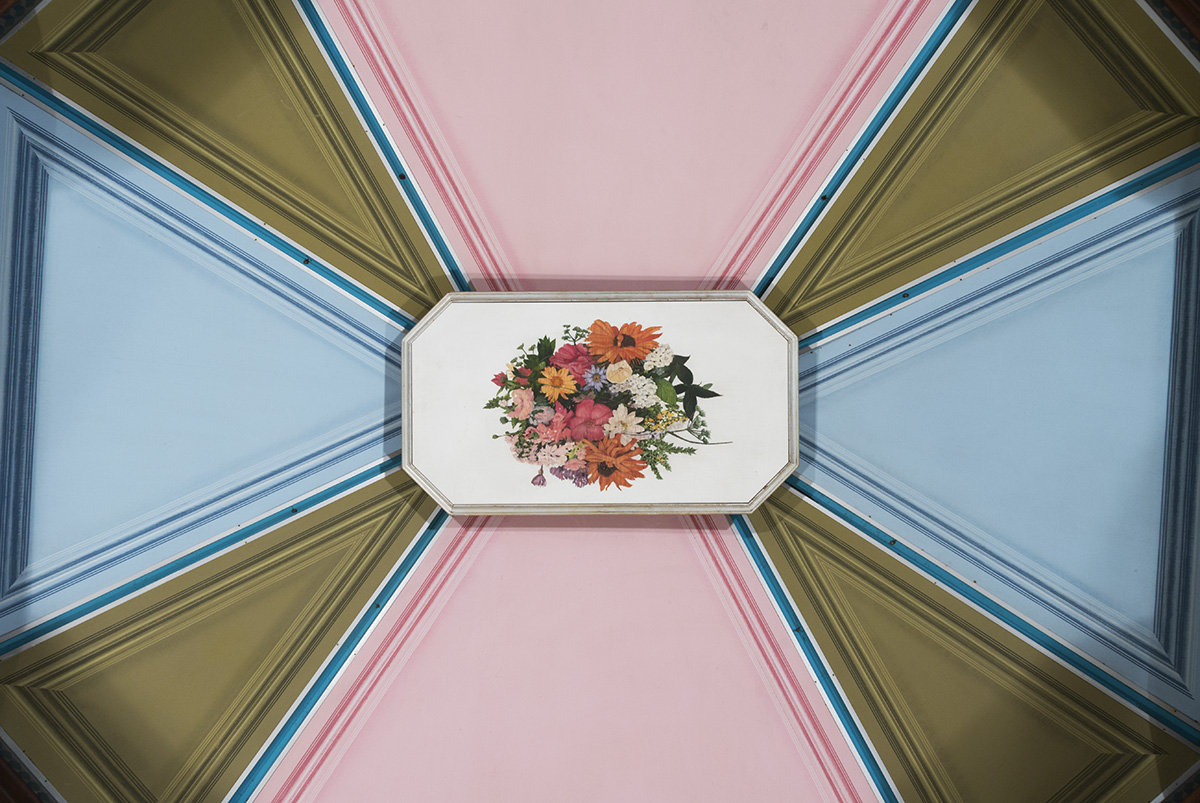 Image of flowers in a white rectangle, surrounded by taupe, blue, and white geometric shapes highlighted with pinstriping