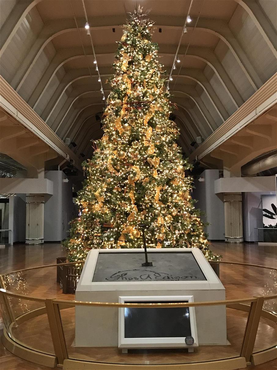 Tall Christmas tree decorated with golden ribbon and white lights, behind an elevated concrete platform