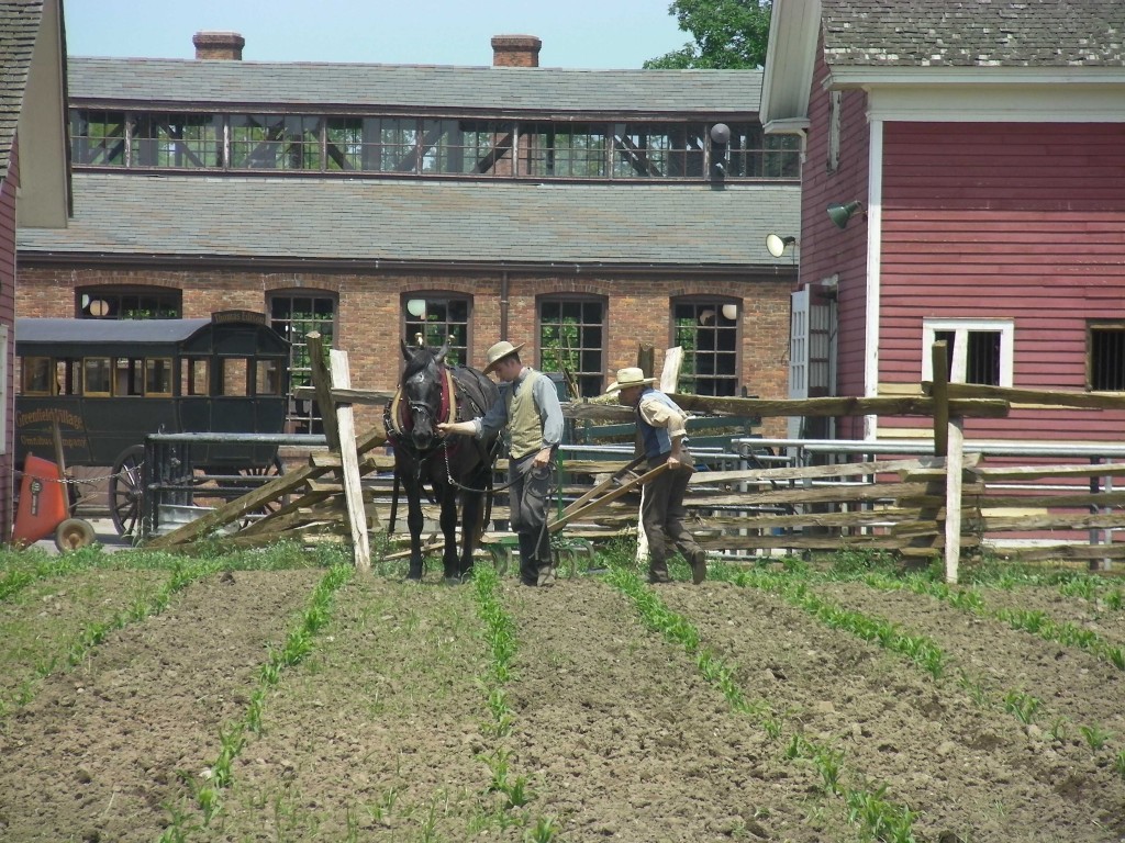 Cultivating the corn field at Firestone Farm