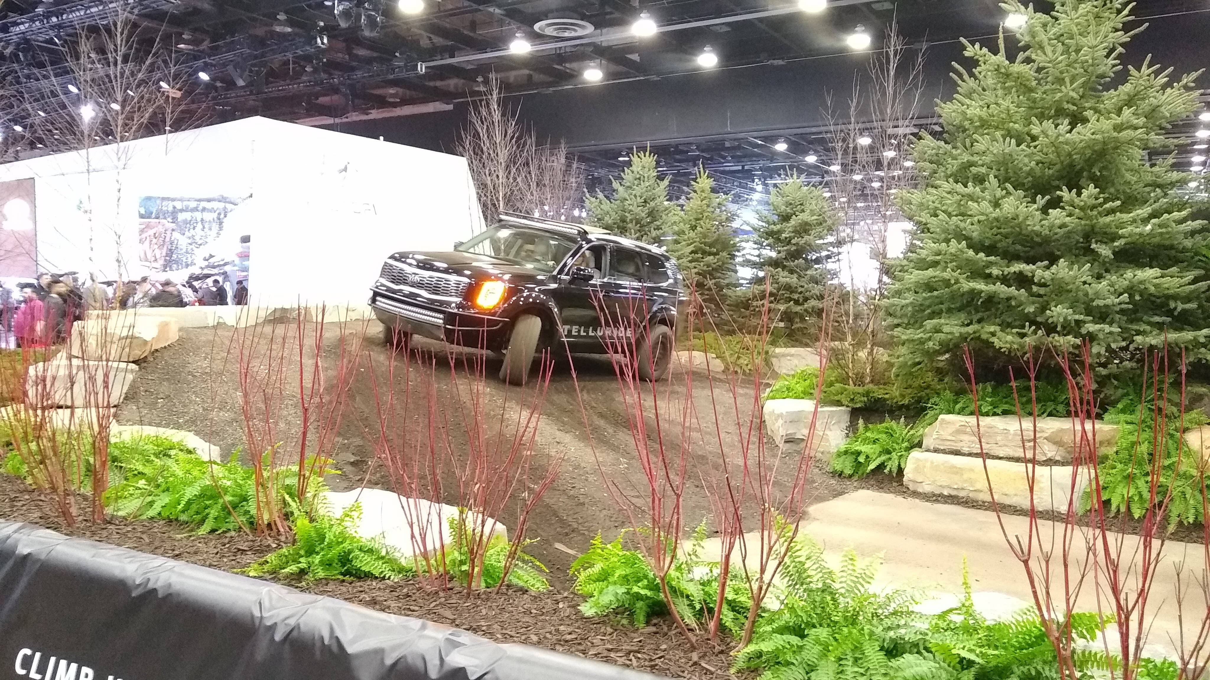 naias4