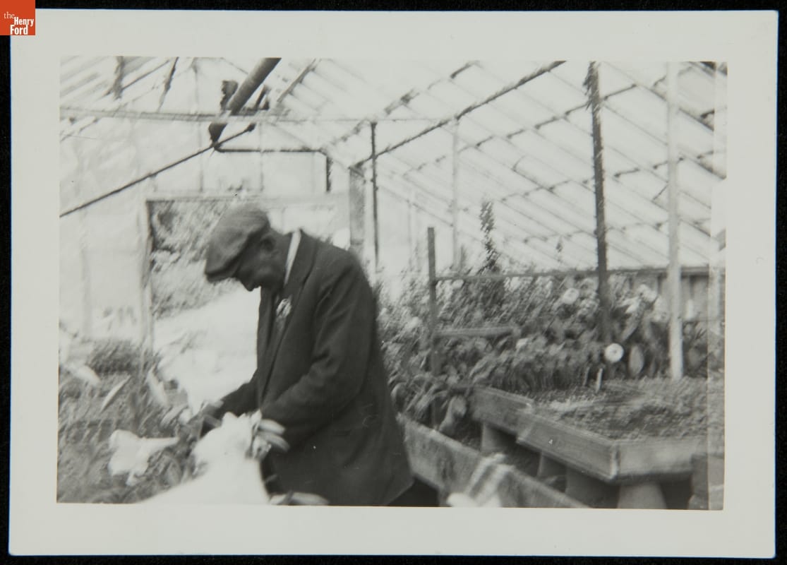 Black-and-white photo of dark-skinned man in suit coat and hat working among plants in a greenhouse