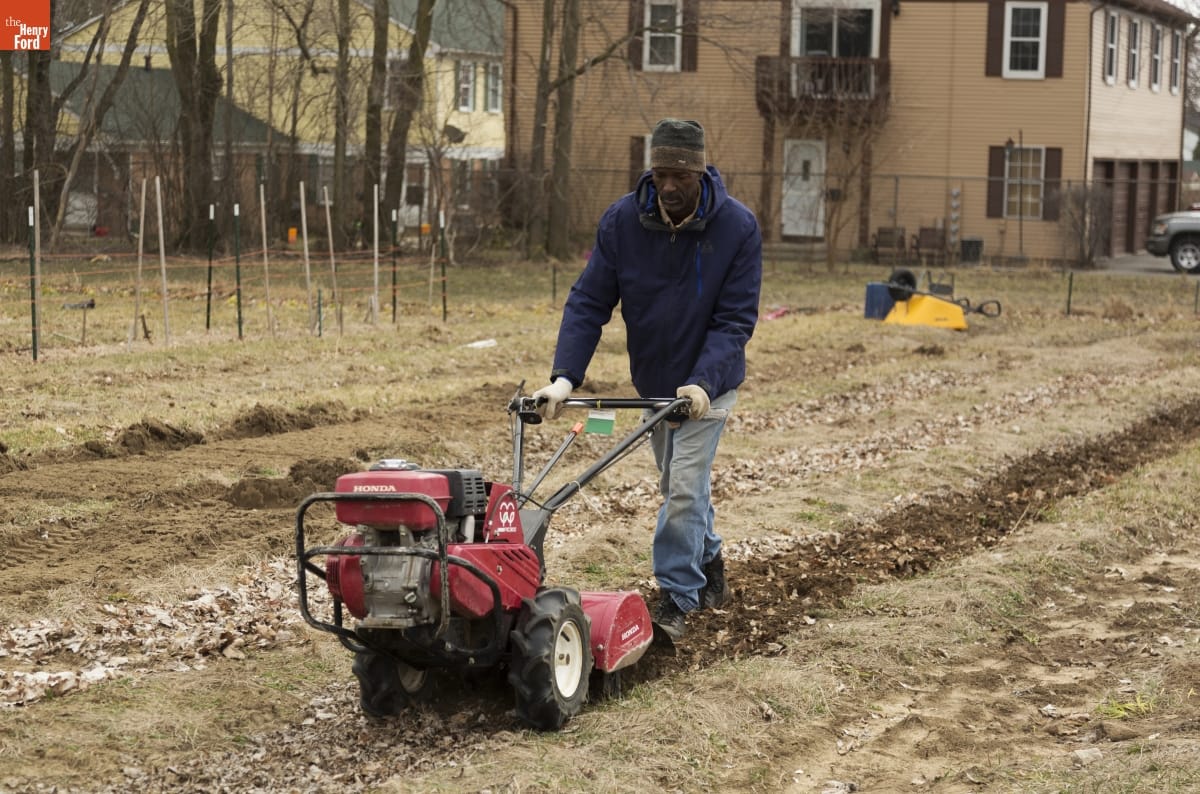 A Black man walks in a field guiding a tiller, with houses and fencing in the background