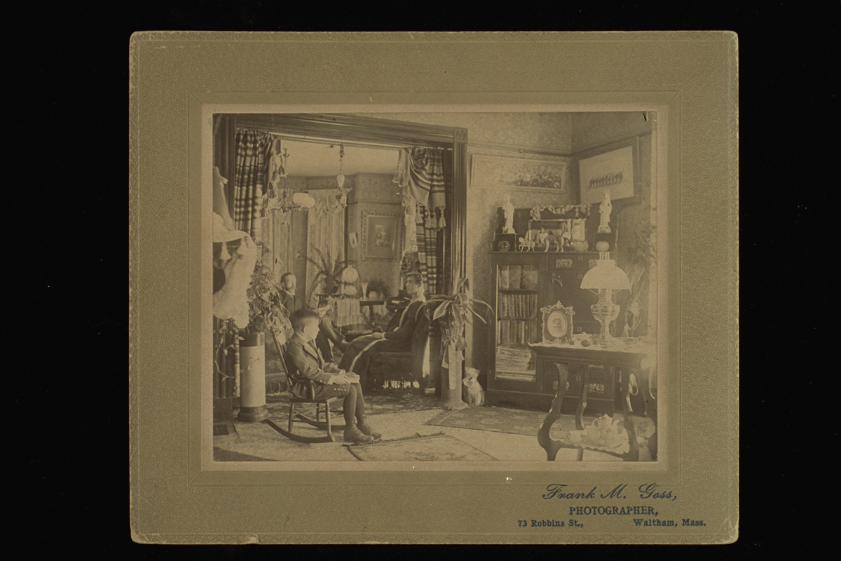 Boy, woman, and man sitting in an extensively furnished room