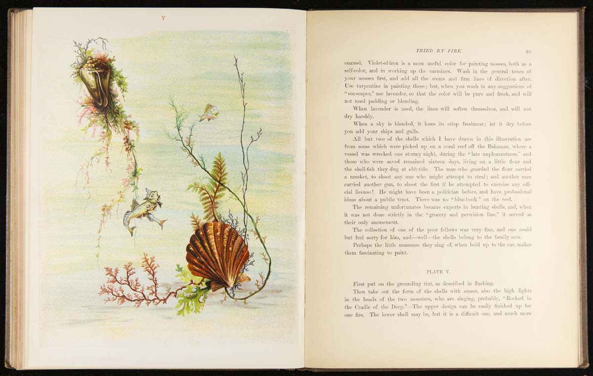 Book open to page with illustration of seashells and seaweed in water and a page with text