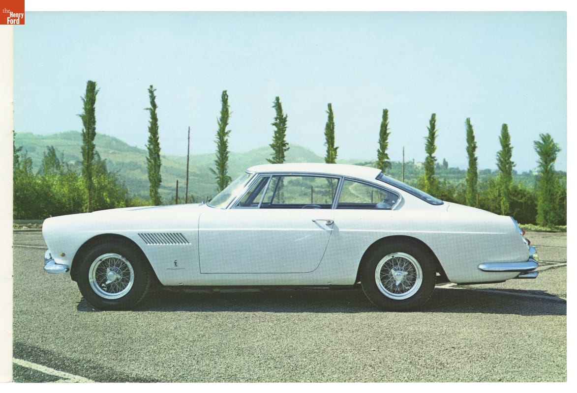 White car parked in front of landscape with a row of thin trees
